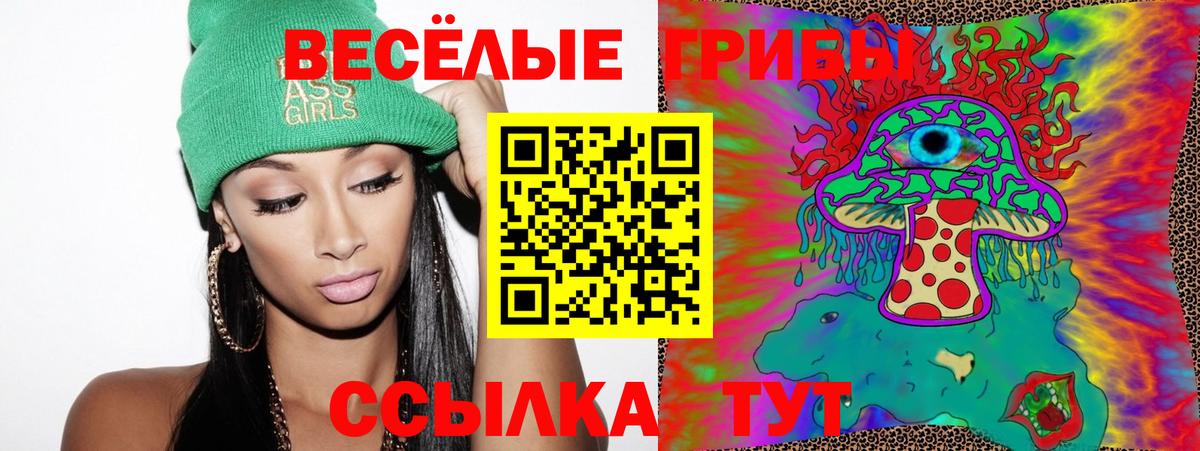 Галлюциногенные грибы Cubensis Армавир